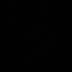 Meet your Posher, Dontrell